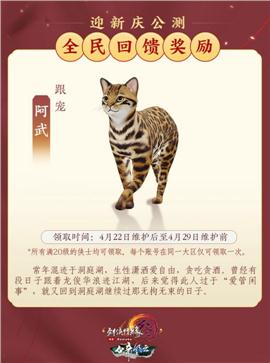 合肥私服天龙八部